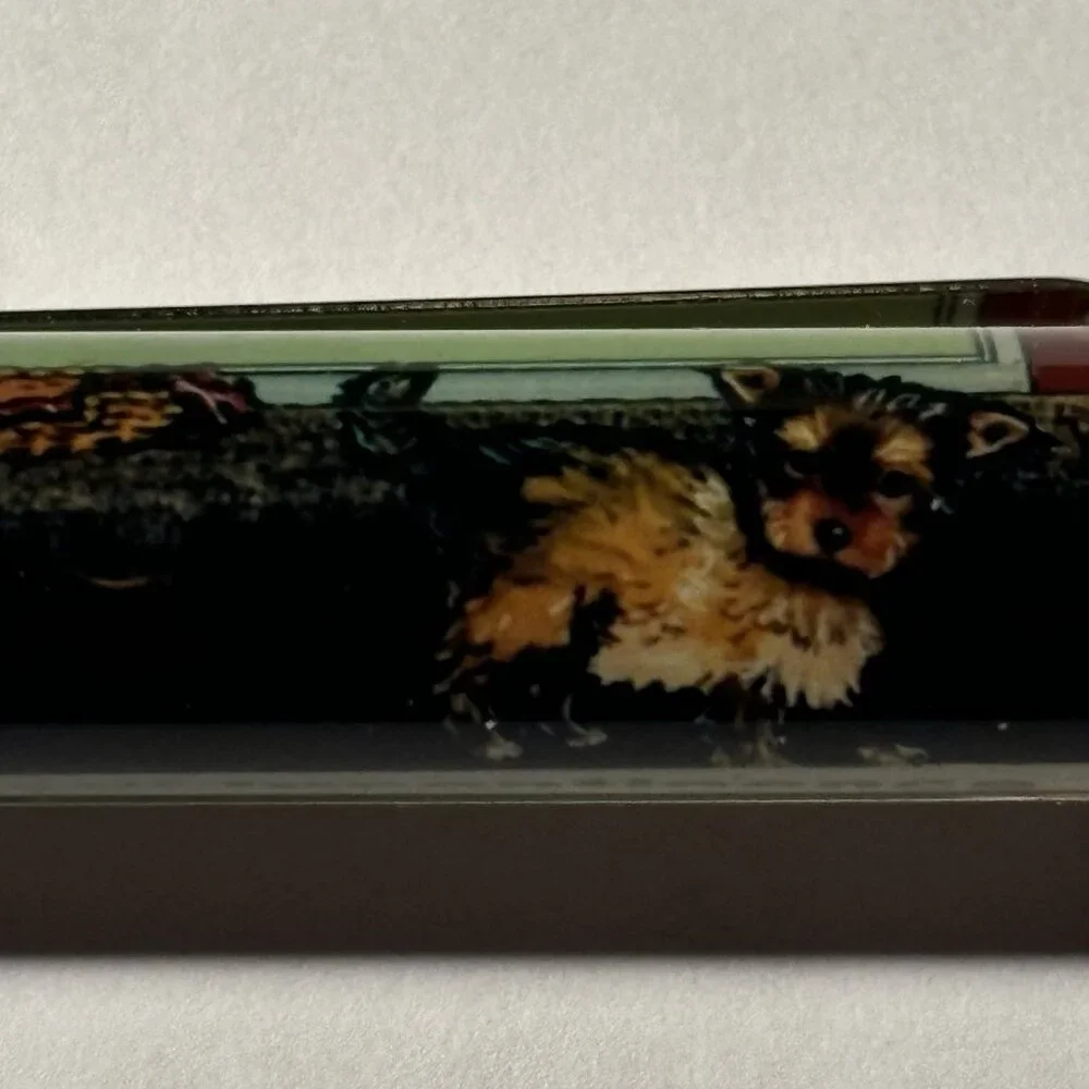 Propalin Urinary Incontinence Medicine Floaty Pen Yorkie Pees Veterinary Pharma